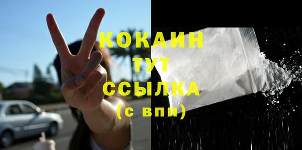 крисы Алзамай