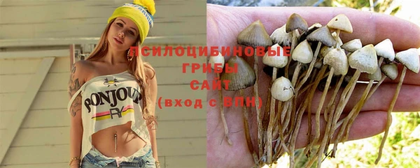 герыч Алексеевка
