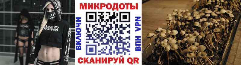 mega онион Михайловск Галлюциногенные грибы мицелий