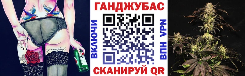 Конопля семена  цена   Михайловск 